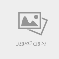 سوشیالیست